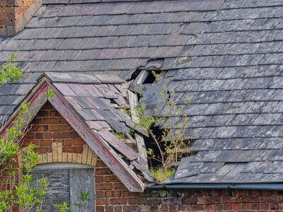 Professional basement flood restoration services services in Hartfor